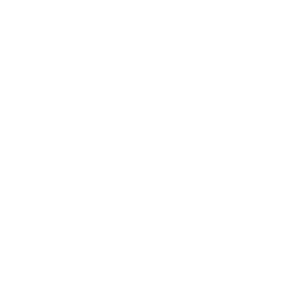 Single vendor support-icon